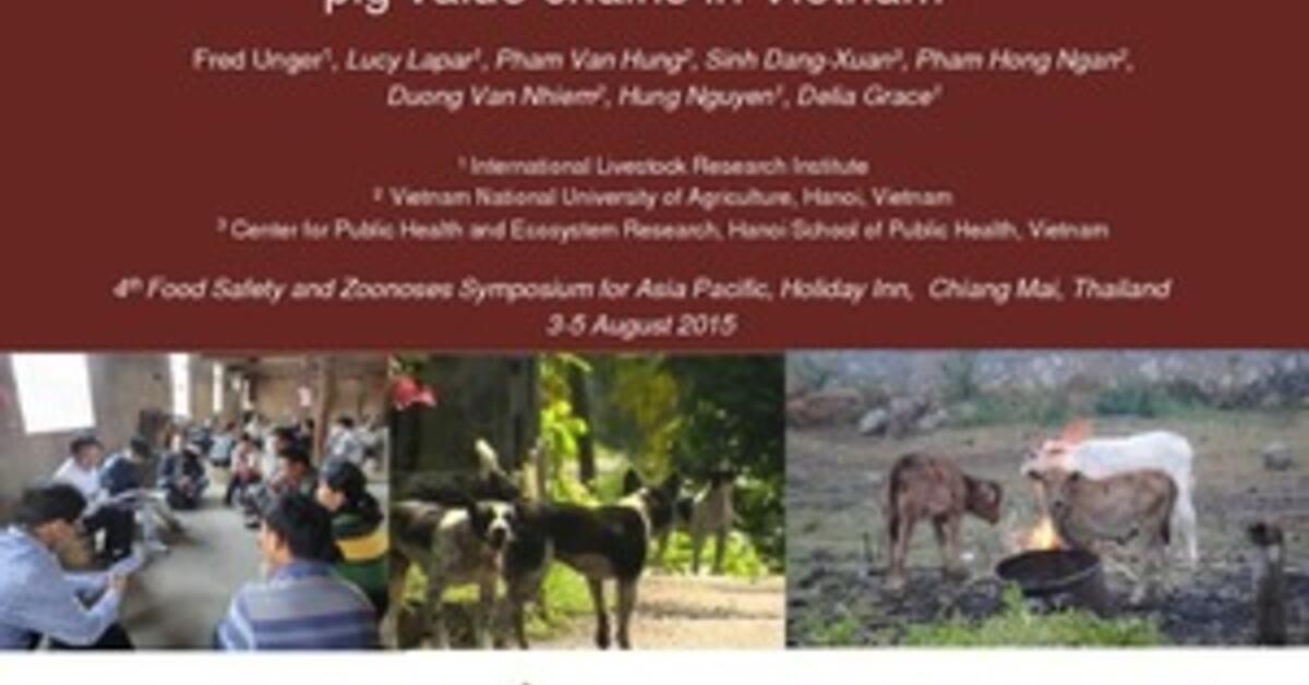 Animal health and food safety in smallholder pig value chains in Vietnam
